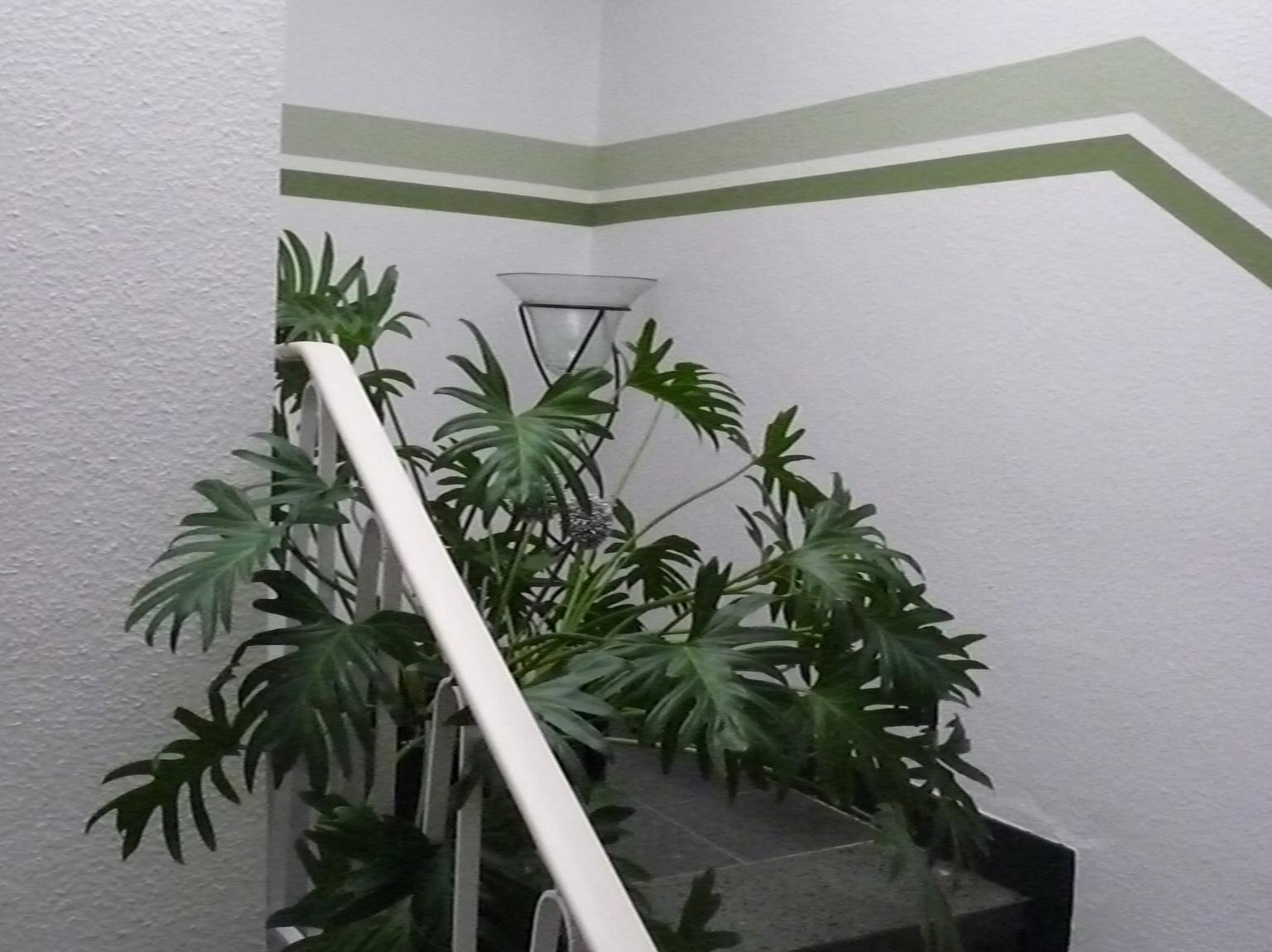 Hotel Sechzehn Leverkusen Dış mekan fotoğraf